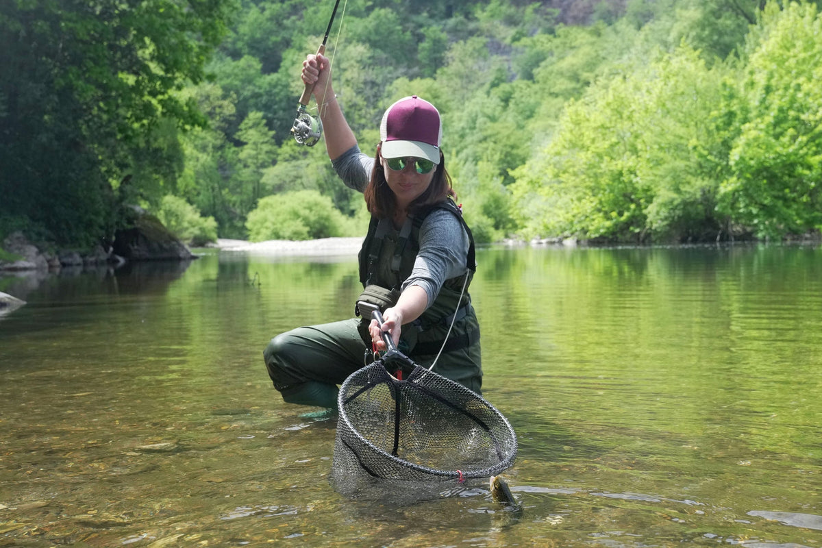 Tungsten Black Perdigon Tactical Jig Czech Euro Nymph - 12 Flies Size 14