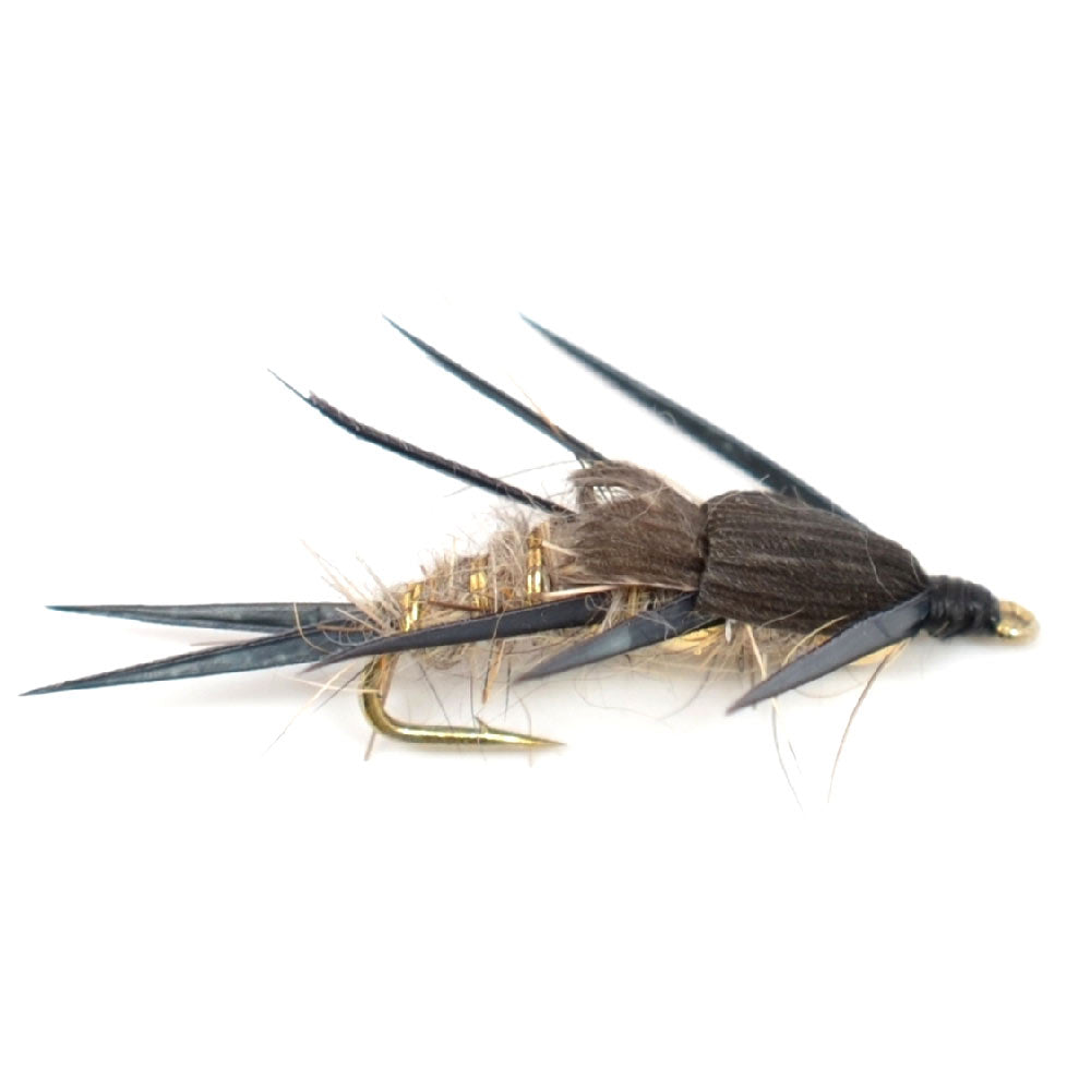 Trout Fly Assortment - Essential Western Dry and Nymph Fly Fishing Flies Collection - 2 Dozen Trout Flies with Fly Box